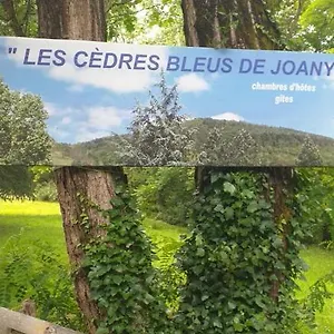 Les Cèdres Bleus De Joany Maison d'hôtes