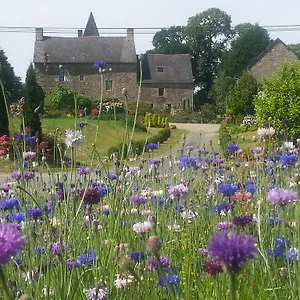 Manoir De La Branche Couette-café Maen Roch